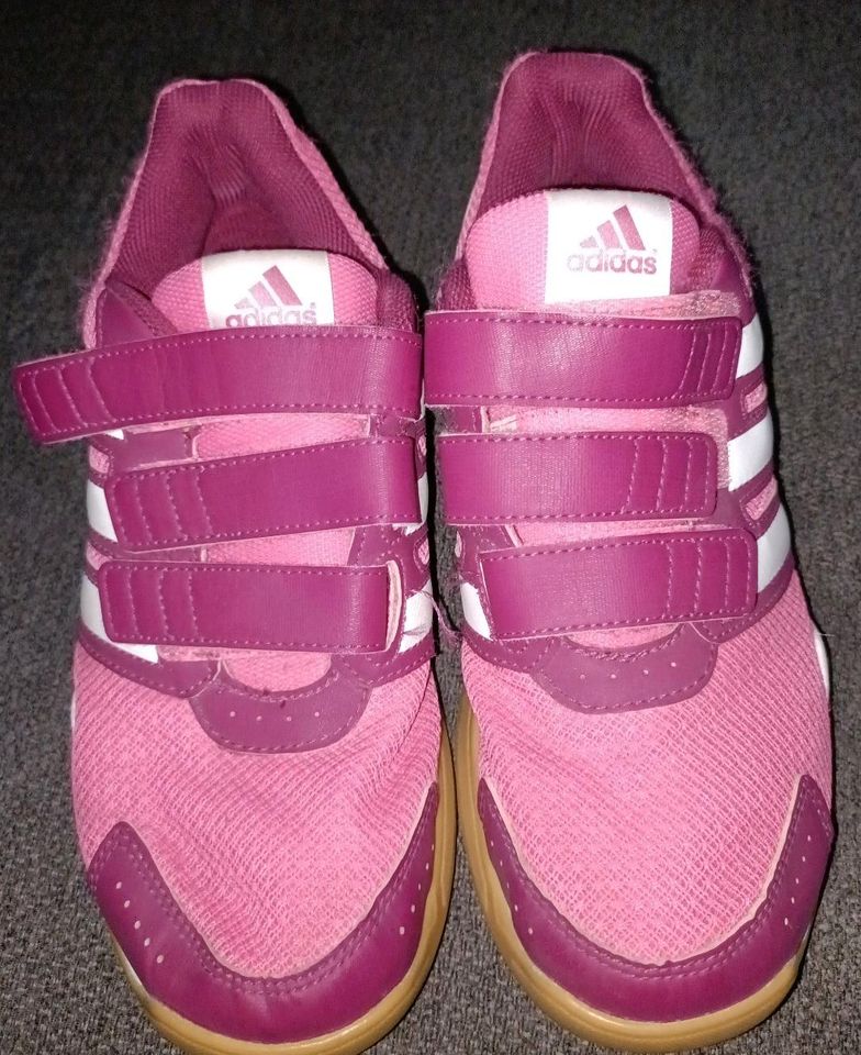 Hallen Turnschuhe Adidas 37 1/3 in Kevelaer