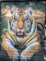 Teppich Tiger 160 x 230 mit Latexrücken Nordrhein-Westfalen - Remscheid Vorschau