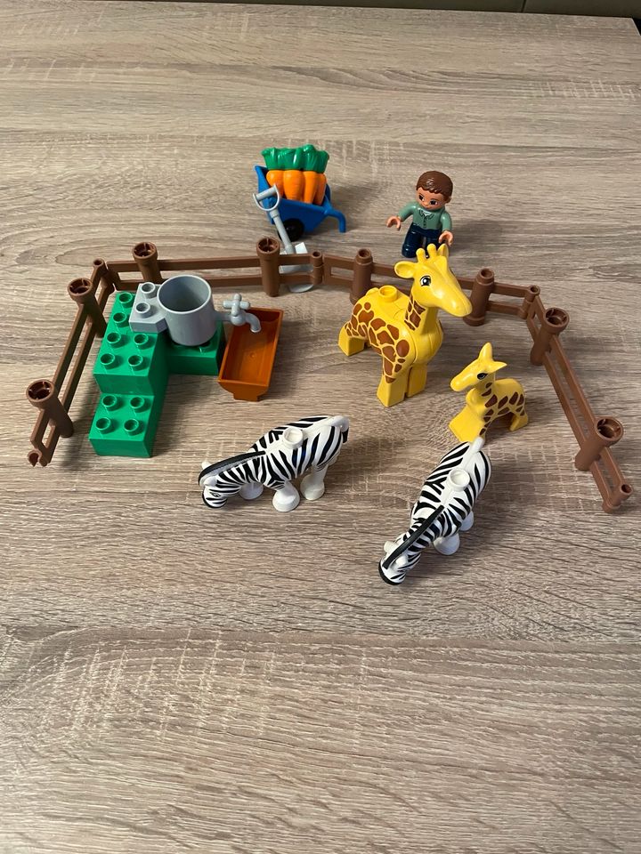 Lego Duplo Zoo 4960 Tierpark in Langerwehe