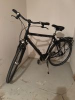 Fahrrad 28 Zoll Pegasus SL Niedersachsen - Buxtehude Vorschau