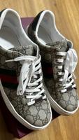 Gucci Sneaker Bayern - Augsburg Vorschau