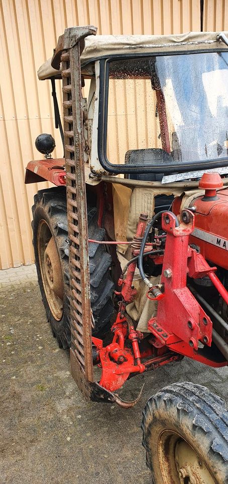 Massey Ferguson MF135 mit Messerbalken in Horb am Neckar