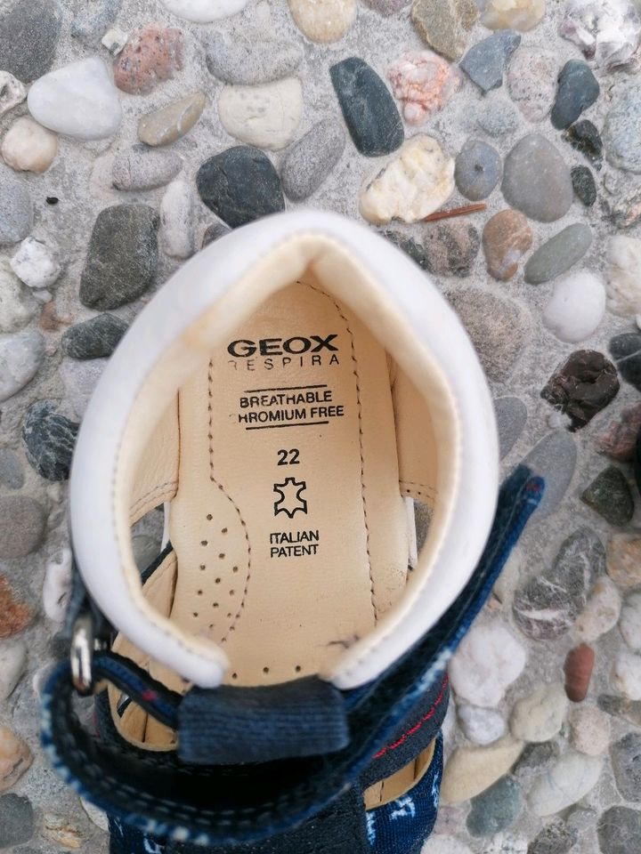 Sandale, Geox, Schuhe, Kinder in Penkun