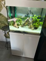 Aquarium Juwel Köln - Ehrenfeld Vorschau