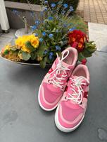 Lacoste Schuhe 39 Größe Sachsen - Riesa Vorschau