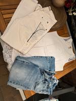 Tredy Paket 36 Rheinland-Pfalz - Gebhardshain Vorschau