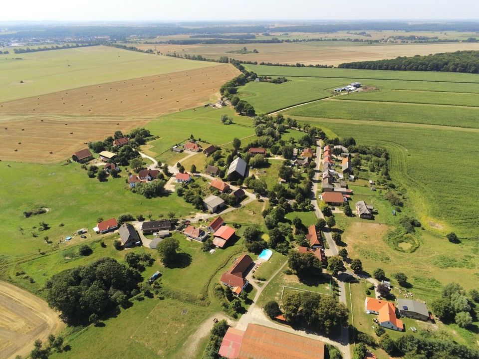 Reiterferien Reitferien Ferienlager Sommerferien in Lübeck