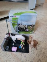 Schleich Waschplatz 42104 Nordrhein-Westfalen - Welver Vorschau