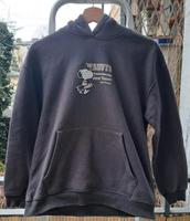 Sweatshirt Hoodie Peanuts Zara 164 blau Top Zustand Pankow - Weissensee Vorschau