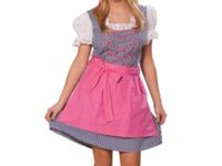 Dirndl blau rosa Gr. 36 Damen Kostüm Tracht Oktoberfest Bayerisch Nordrhein-Westfalen - Beverungen Vorschau