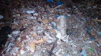 Müll zu verschenken Sachsen - Käbschütztal Vorschau