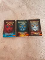 ,,Warrior Cats‘‘ ( Band 2,3,4) Hessen - Braunfels Vorschau