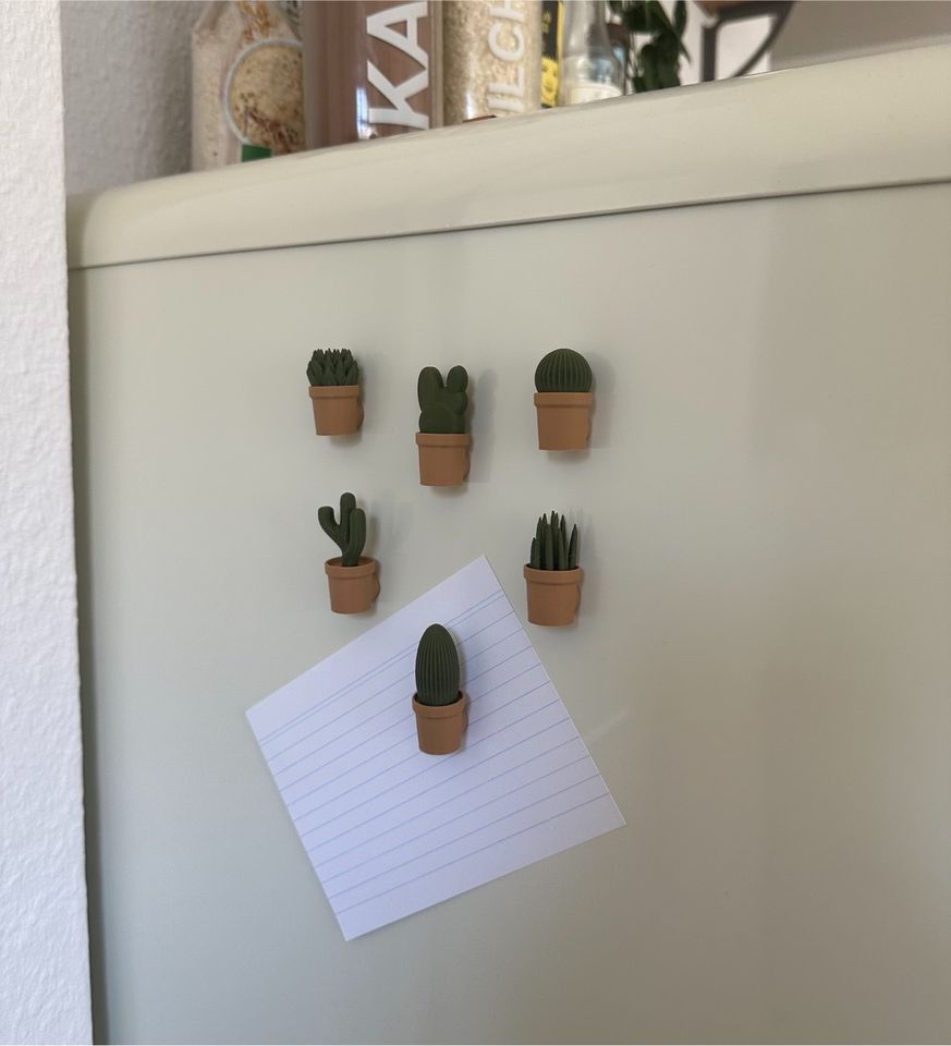 Kaktus Kakteen / Magnete Kühlschrankmagnete Pinnwand / 3D Druck in Kiel