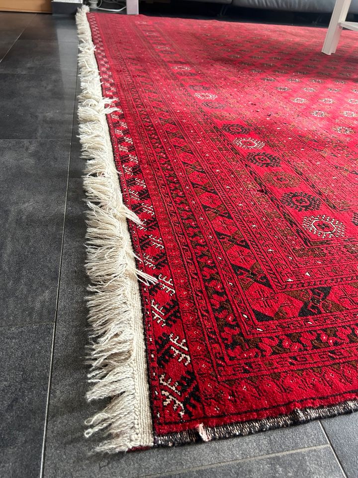 Perser Teppich Orientteppich handgeknüpft Afghanistan 3x4m in Frankfurt am Main