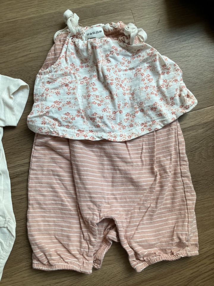 Sommer-Set Gr.68 Baby Mädchen Body und Overall in Waldeck