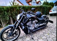 Harley Davidson/V Rod Musccle Baden-Württemberg - Ehingen (Donau) Vorschau