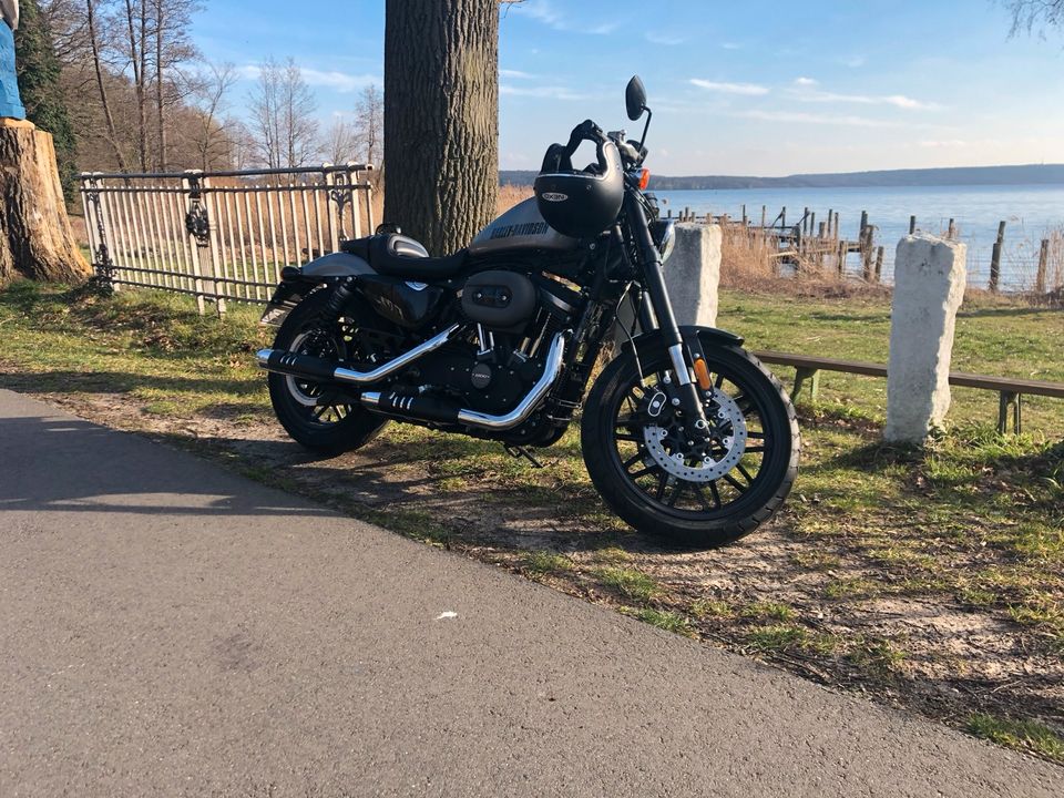 Harley Davidson Roadster 1200 XL2 / A2 tauglich in Potsdam