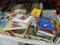 Romane und Bücher aller Art secondhand zum Teil neuwertig 1 Euro Baden-Württemberg - Immenstaad Vorschau