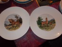 flache Teller mit Wildmotiven..Reh,Hirsch,Wildschwein,Hase Saarland - Namborn Vorschau