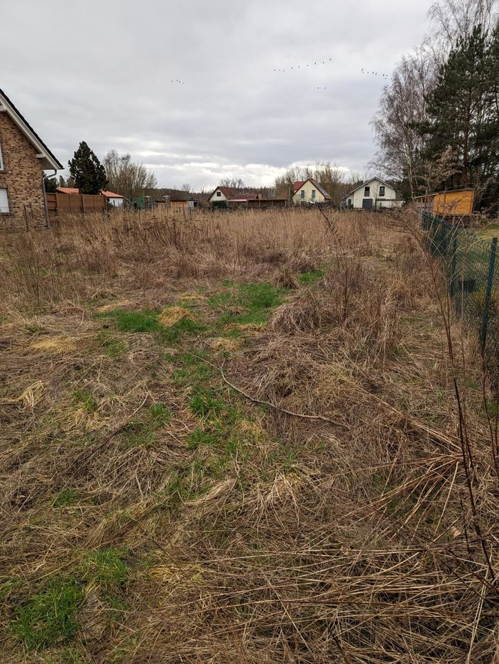 Großes Baugrundstück in Storkow zu verkaufen. in Storkow (Mark)