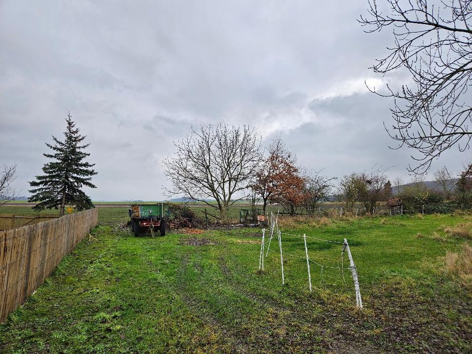 Wohlfühlatmosphäre - Das Einfamilienhaus mit dem Plus an Ausstattung in der Gemeinde Dettum in Dettum