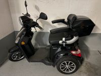 Roletro, E-Trike 25 V.3 Lithium, Anschaffung 06/23, mit Garantie Bayern - Wolfratshausen Vorschau