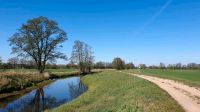 Resthof mit viel Weideland Brandenburg - Brück Vorschau