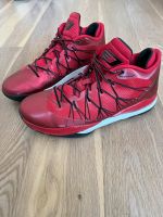 NIKE Jordan CP3.VII AE Größe 46 Baden-Württemberg - Gärtringen Vorschau