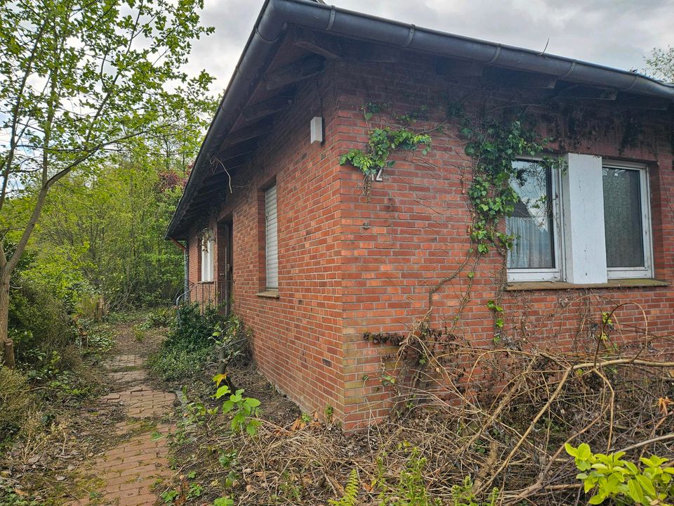 Grundstück mit Bungalow / Haus in Tecklenburg Ledde in Tecklenburg