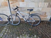 Fahrrad 26Zoll Baden-Württemberg - Ellhofen Vorschau