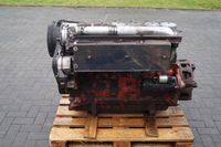 Deutz Motor F6L 913 für Deutz DX6.30,120,6.16,6.17,10006,8006 Niedersachsen - Emsbüren Vorschau