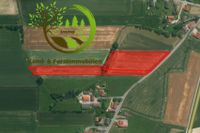 Verkaufe 1,72 ha Ackerland in 94560 Penzenried/Offenberg (DEG) Bayern - Offenberg Vorschau