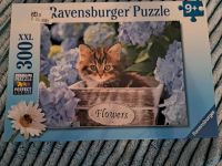 Ravensburger Puzzle Kitten Katze 300 Teile Nordrhein-Westfalen - Brühl Vorschau