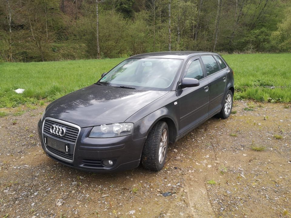 Audi A3 Sportback in Balve