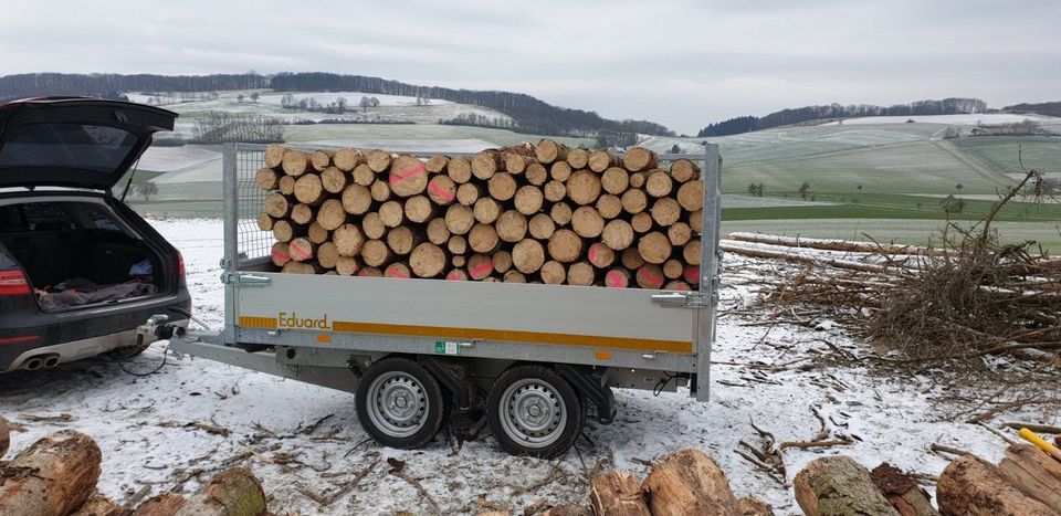 Regionales Brennholz trocken ofenfertig inkl. Lieferung in Salzhemmendorf