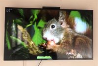 Fernseher Nordmende 123 cm Diagonale Bayern - Frontenhausen Vorschau