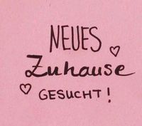 Wohnung in 76646 Bruchsal gesucht Baden-Württemberg - Stutensee Vorschau