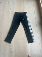 Xl Palm angels jogginghose Berlin - Mitte Vorschau