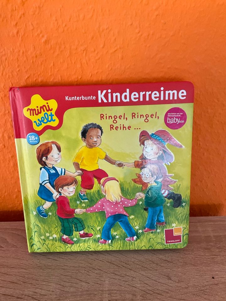 Neu Bekleidungspaket 86 Kinderkleidung Kinderbücher Dino,Pferde in Oberursel (Taunus)