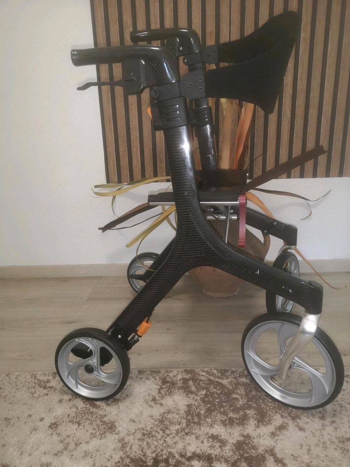 Carbon Rollator in Maintal