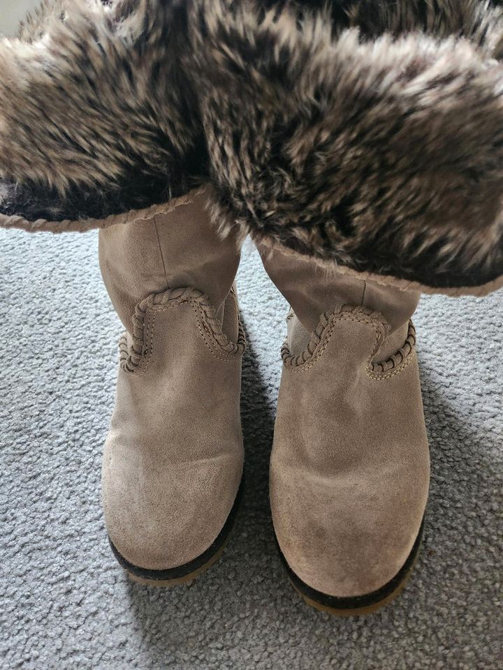 Wildleder Stiefel Zara Gefüttert 41 neuwertig in Starnberg