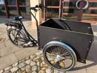 E-Lastenrad Christiania Light (=Medium Straight) Baden-Württemberg - Freiburg im Breisgau Vorschau