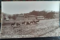 Donington Hall original Foto Postkarte Gefangenenlager 2 WK Rehe Schleswig-Holstein - Hütten  Vorschau