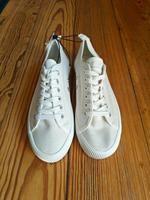 Neu! Weiße Sneaker, Turnschuhe, Stoff, Weiß Schleswig-Holstein - Flensburg Vorschau