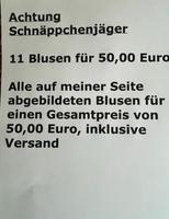 Blusen- geänderter Preis Thüringen - Rudolstadt Vorschau
