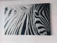 Zebra Bild auf Leinwand Hamburg - Altona Vorschau