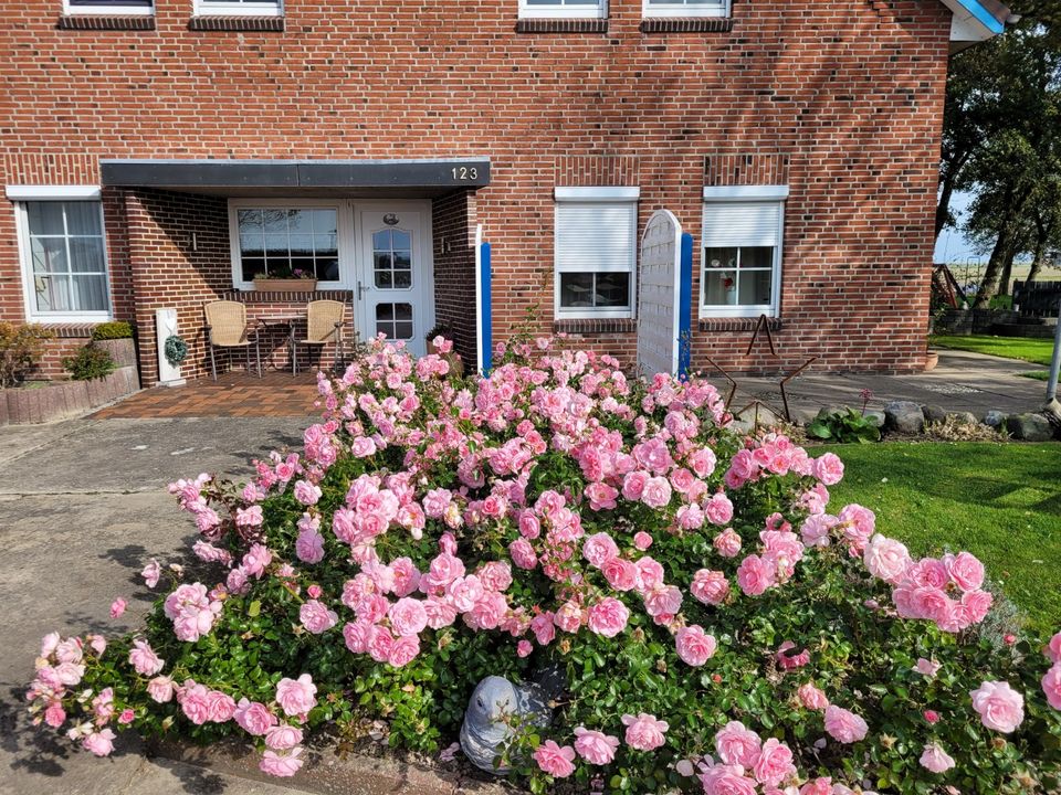 Urlaub Ferienwohnung Nordsee Ferienhaus FeWo in Heiden