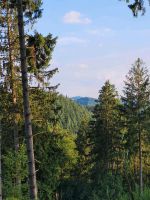 Suche Wald Waldgrundstück zur Pacht, Kauf Nordrhein-Westfalen - Niederkassel Vorschau