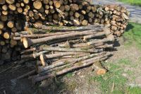 Äste Fichte als Brennholz zu verkaufen Baden-Württemberg - Argenbühl Vorschau
