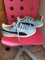 Puma  Dallas Nordrhein-Westfalen - Goch Vorschau